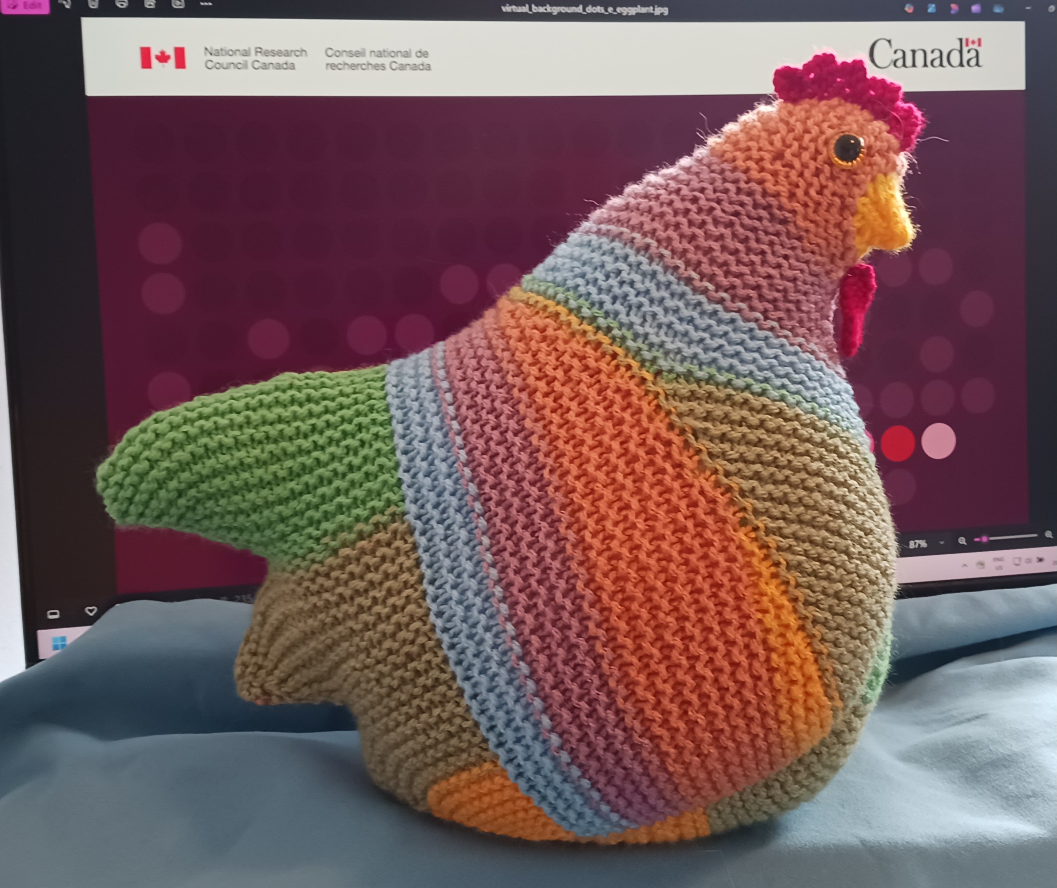 Emotional support chicken #2