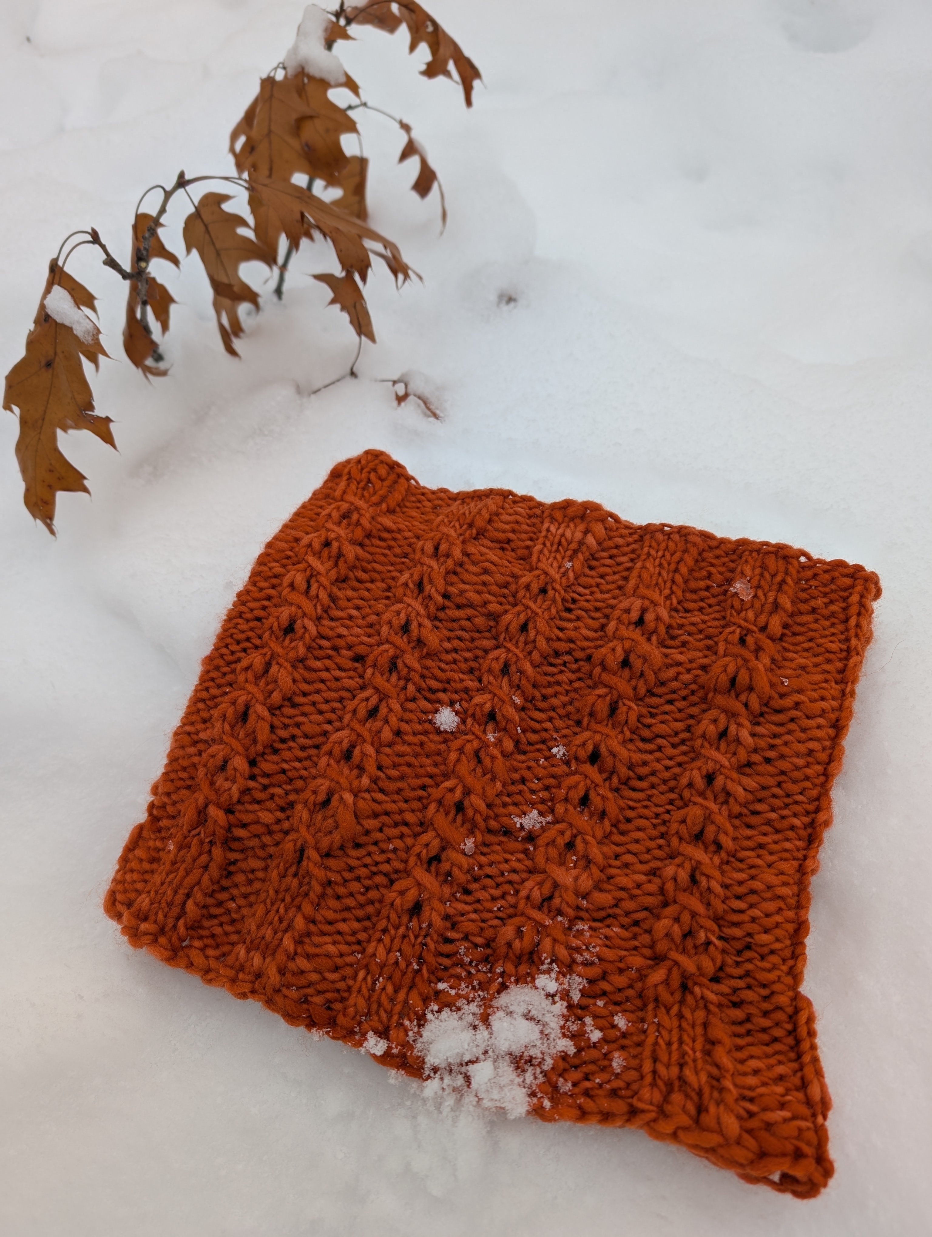 Bouclettes Cowl