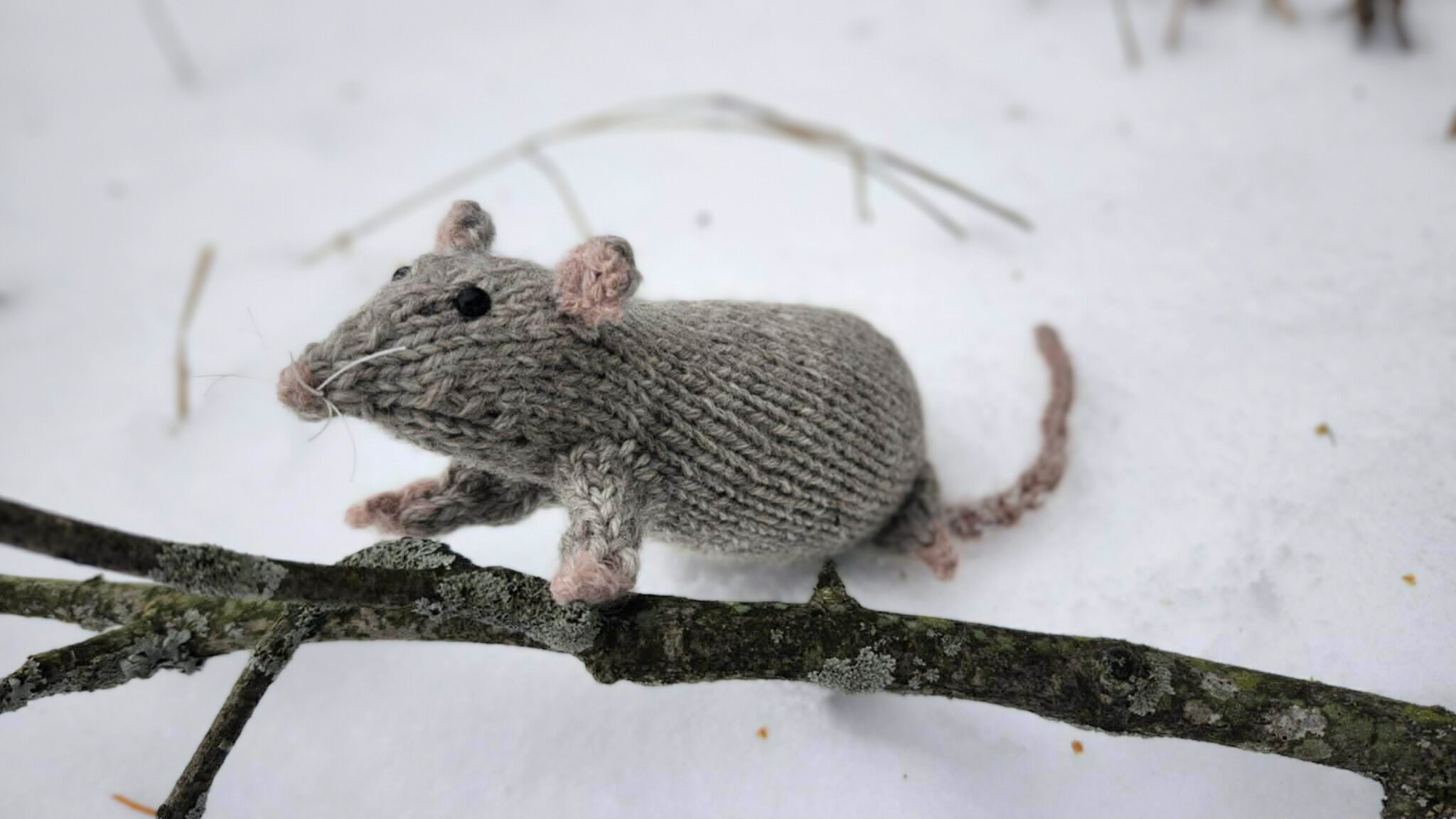 Emotional Support Rat for Office